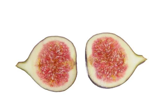 Two halves of a fig. Figs isolated on white 写真素材