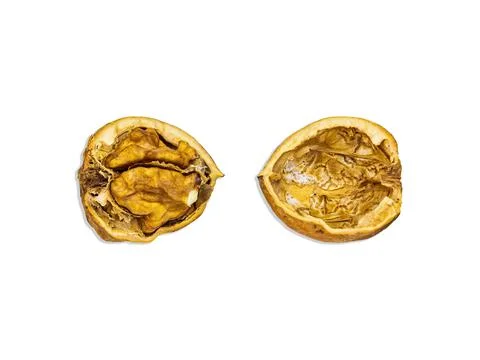 Two halves of a split walnut isolated on a white background. Foto stock