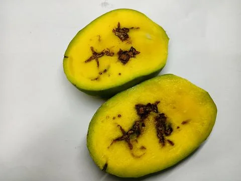 Two halves of a spoiled mango with black internal rot Stock Photos