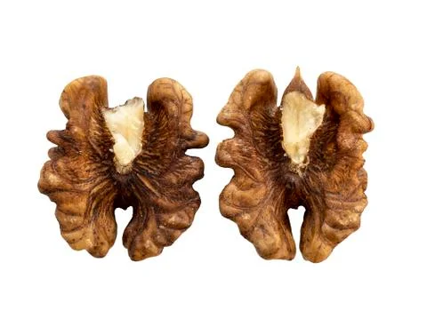 Two halves of walnut kernels, isolate on a white background Foto stock
