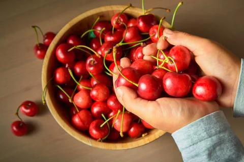 Two hand child boy spring red cherries on wooden background selective focus Stock Photos