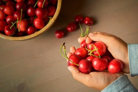 Two hand child boy spring red cherries on wooden background selective focus Stock Photos