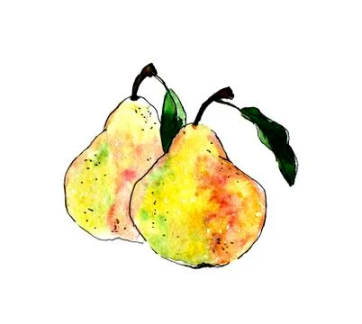 Two hand drawn sketchy pears Stock Illustration