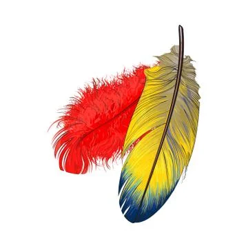 Two hand drawn smoth orange and yellow tropical, exotic feathers 스톡 일러스트