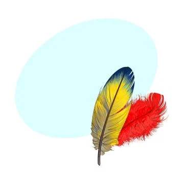 Two hand drawn smoth orange and yellow tropical, exotic feathers 스톡 일러스트
