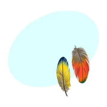 Two hand drawn smoth orange and yellow tropical, exotic feathers 스톡 일러스트