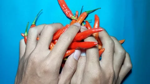 Two hands adding spicy red chilies on a bright cyan backdrop. Stock Footage 325613752