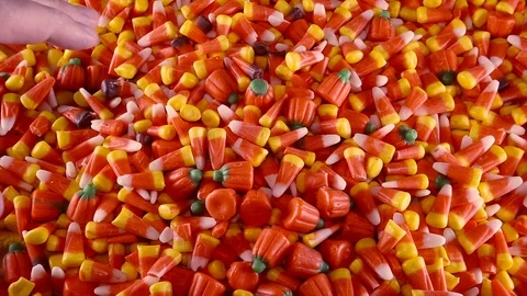 Two hands are seen grabbing into a large pile of Halloween candy corn and Stock Footage 116573177