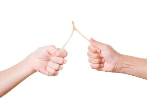 Two hands breaking a wishbone isolated on white Stock Photos