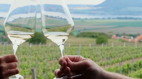 Two hands clink glasses together, white wine on day vineyard Stock Footage 108831183