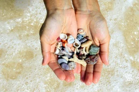 Two hands with a different seashells and stones on the sea beach background. Stock Photos