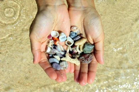 Two hands with a different seashells and stones on the sea beach background. Foto stock