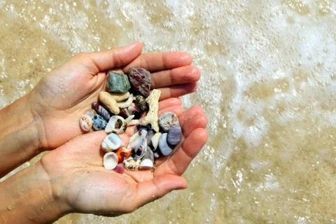 Two hands with a different seashells and stones on the sea beach background. Stock Photos