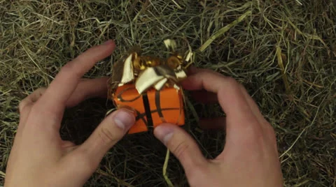 Two hands find a present in the hey Stock Footage 24916890