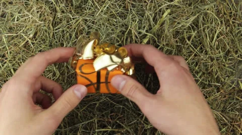 Two hands find a present in the hey Stock Footage 24921784