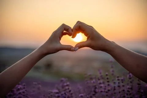Two hands forming a heart shape in front of a purple field. The sun is setting Fotos Stock
