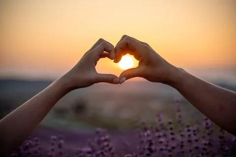 Two hands forming a heart shape in front of a purple field. The sun is setting Fotos Stock