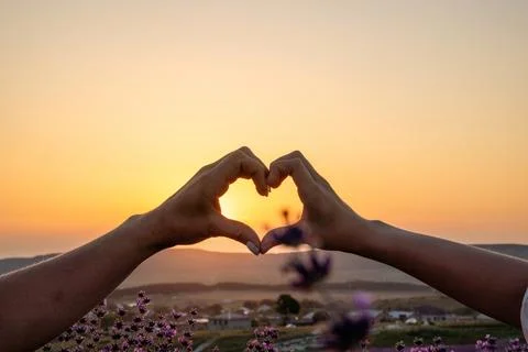 Two hands forming a heart shape in front of a purple field. The sun is setting Stock Photos