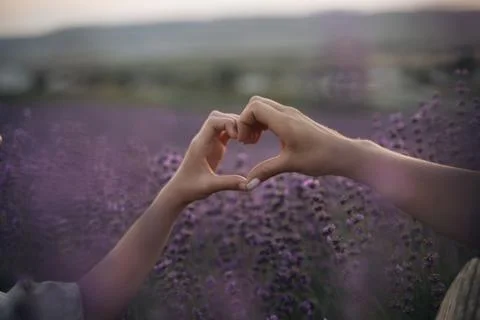 Two hands forming a heart shape in front of a purple field. The sun is setting Fotos Stock