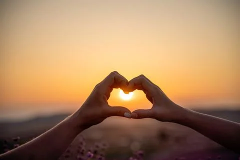 Two hands forming a heart shape in front of a purple field. The sun is setting Fotos Stock