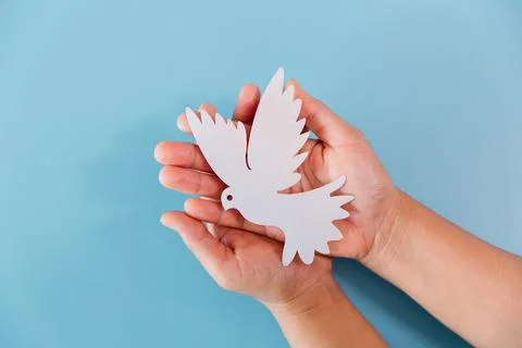 Two hands gently holding a white paper-cut dove on a blue background. Minim.. Stock Photos