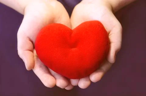 Two hands hold toy soft red heart Stock Photos