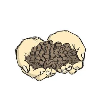 Two hands holding coffee beans illustration vector sketch Stock Illustration