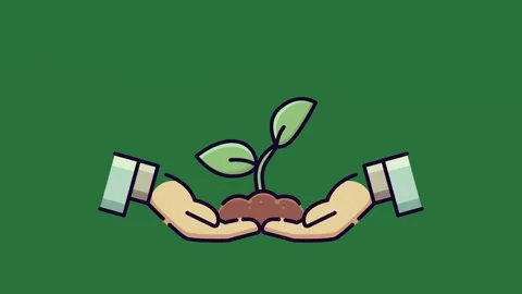 Two hands holding a plant and seed green screen illustration figure motion Stock-Footage 337340114