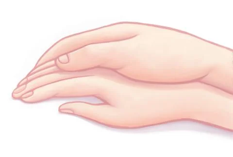 Two hands 스톡 일러스트