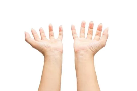 Two hands isolated on white background Stock Photos