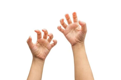 Two hands isolated on white background Stock Photos