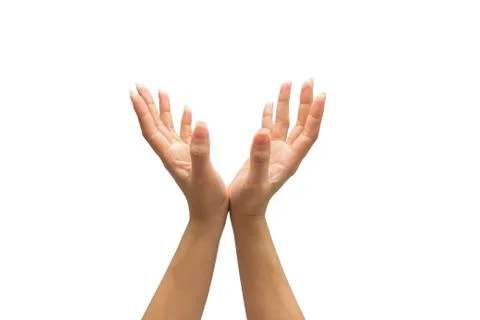 Two hands isolated on white background Stock Photos