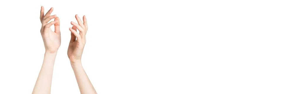 Two hands isolated on the white background Stock Photos