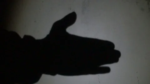 Two hands make a silhouette shadow show of a dog head against white background Stock-Footage 77162064