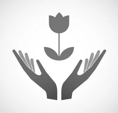 Two hands offering a tulip Stock Illustration
