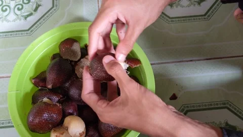 Two hands peeling snakefruit skin Stock Footage 204119759