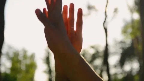 Two hands reaching up towards the bright sun in a forest. A feeling of hope.. Vidéo 335156525