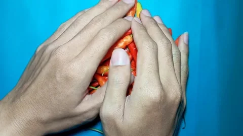 Two hands scooping spicy red chili peppers over a cyan surface. Stock Footage 325613774