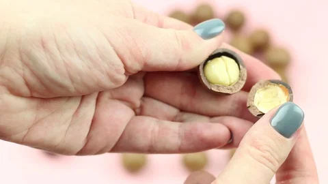 Two hands shelling raw not peeled whole macadamia nuts with special instrument. Stock Footage 119889182