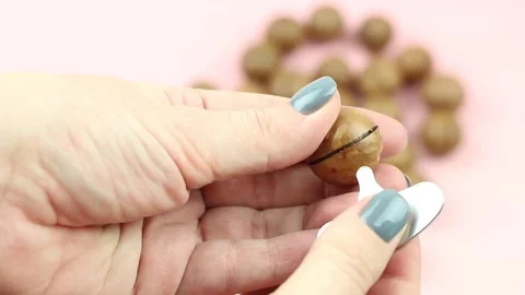 Two hands shelling raw not peeled whole macadamia nuts with special instrument. Stock Footage 119889192