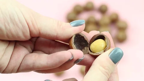 Two hands shelling raw not peeled whole macadamia nuts with special instrument. Stock Footage 119889194