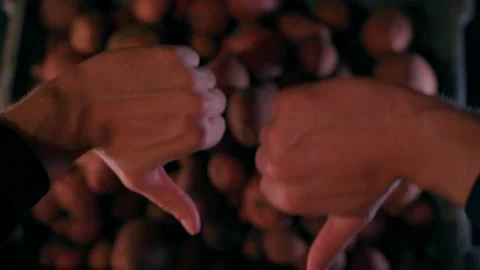 Two hands show dislike against the background of potatoes in box.Evaluate red Stock Footage 231362745
