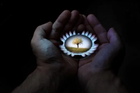 Two hands show an example of conservation of the environment Stock-Fotos