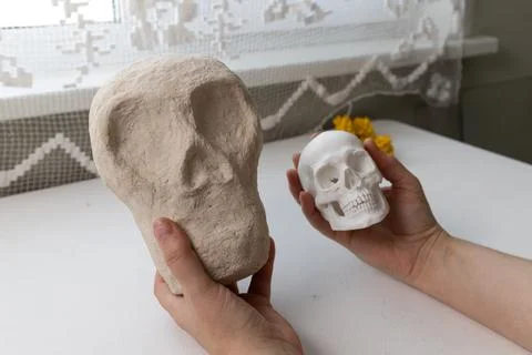 Two hands showcase a rough beige plaster skull beside a smooth white skull mo Stock Photos