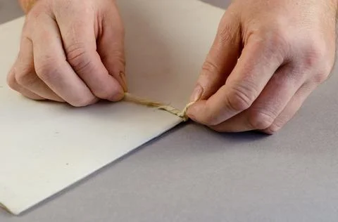 Two hands tie a knot on a document folder. Paper folder on gray background. C Stock Photos