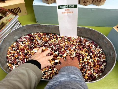 Two hands touching a basin full of various beans Stock Photos