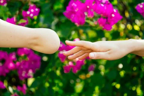 Two hands touching each other on flover background 스톡 사진