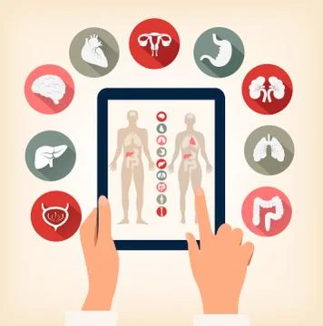 Two hands touching screen of a tablet with human organ icons. vector. Stock Illustration