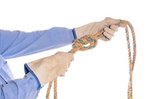 Two hands tying a simple knot to a rope, isolated on white background. Hands Stock Photos
