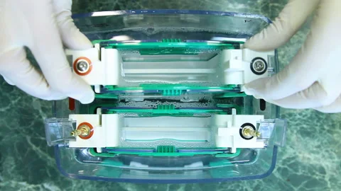 Two hands vertical forez Stock Footage 108043884